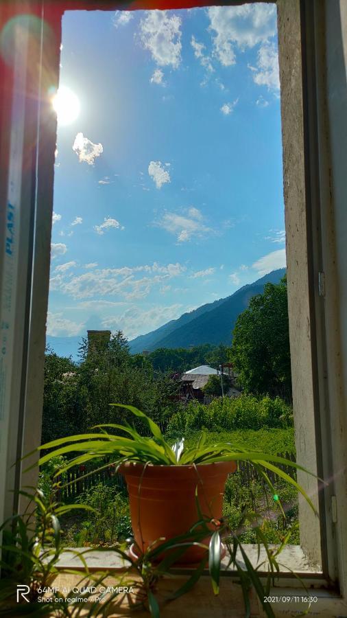 Hotel Shaulini Kashveti Exteriér fotografie