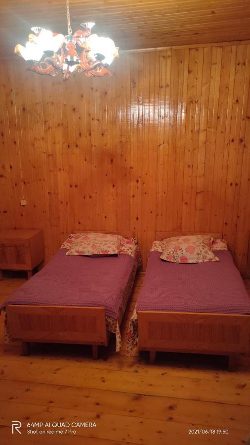 Hotel Shaulini Kashveti Pokoj fotografie