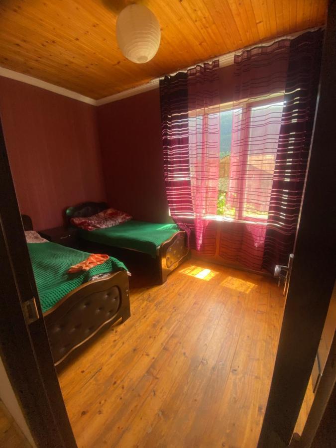 Hotel Shaulini Kashveti Exteriér fotografie