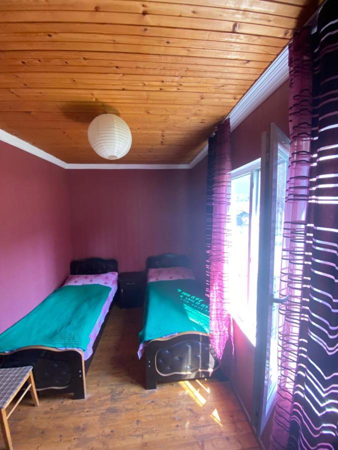 Hotel Shaulini Kashveti Exteriér fotografie
