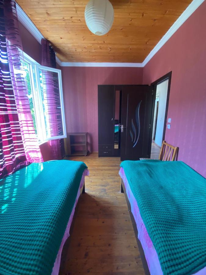 Hotel Shaulini Kashveti Exteriér fotografie