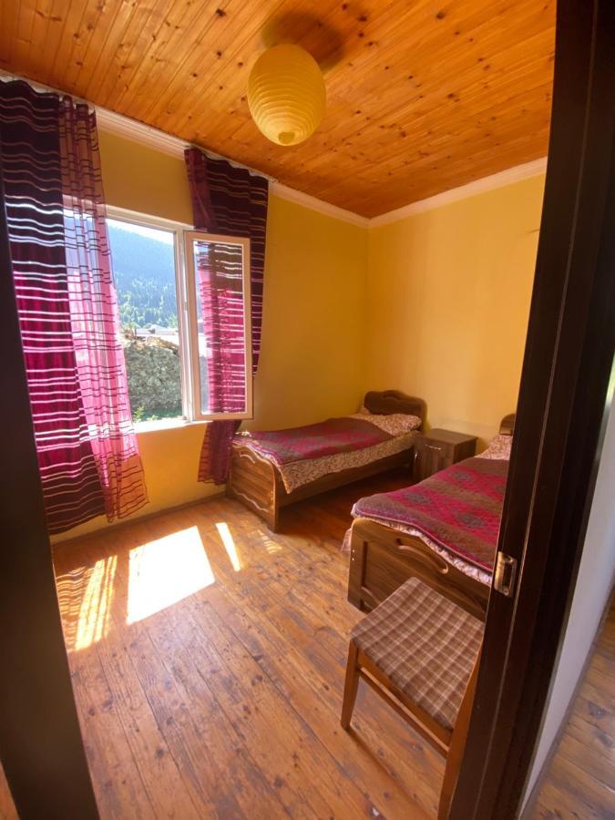 Hotel Shaulini Kashveti Exteriér fotografie